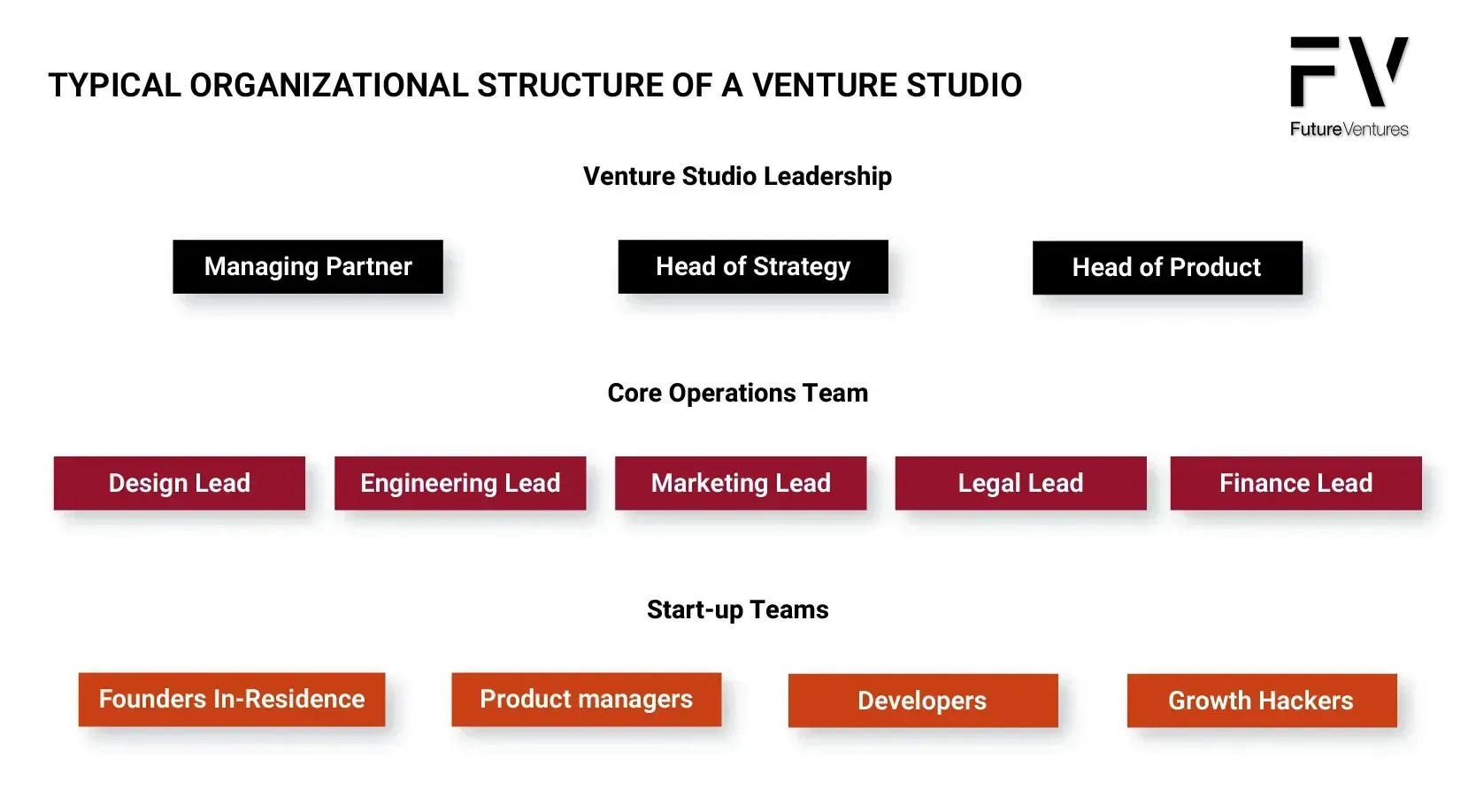 Organizational chart of a venture studio, showing leadership, core operations, and startup teams.